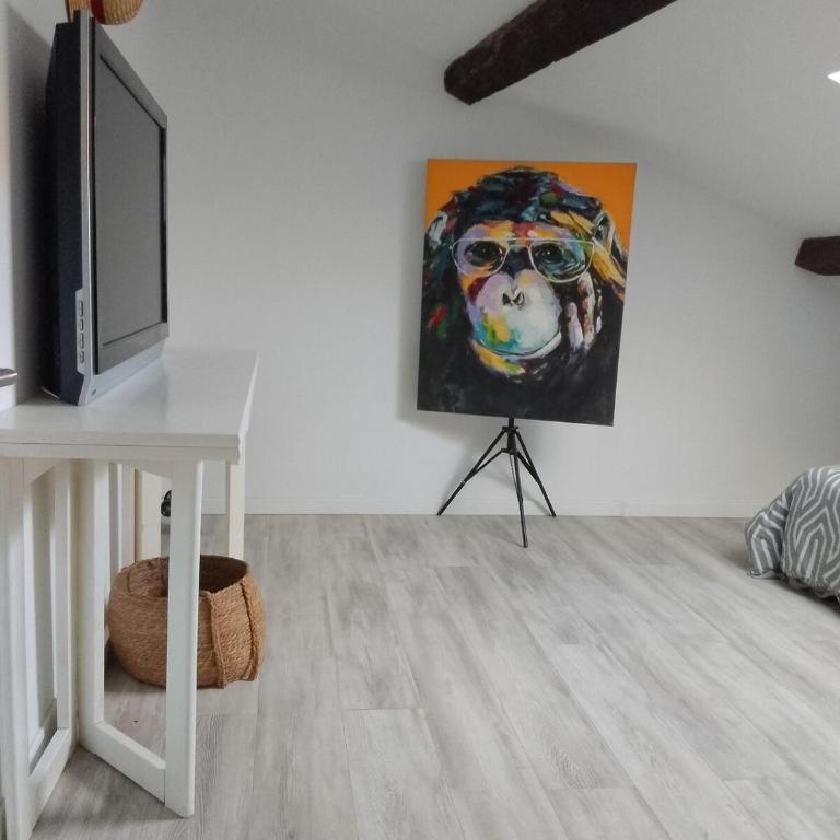 Louis Pasteur - Appartement 1 Chambre - 5
