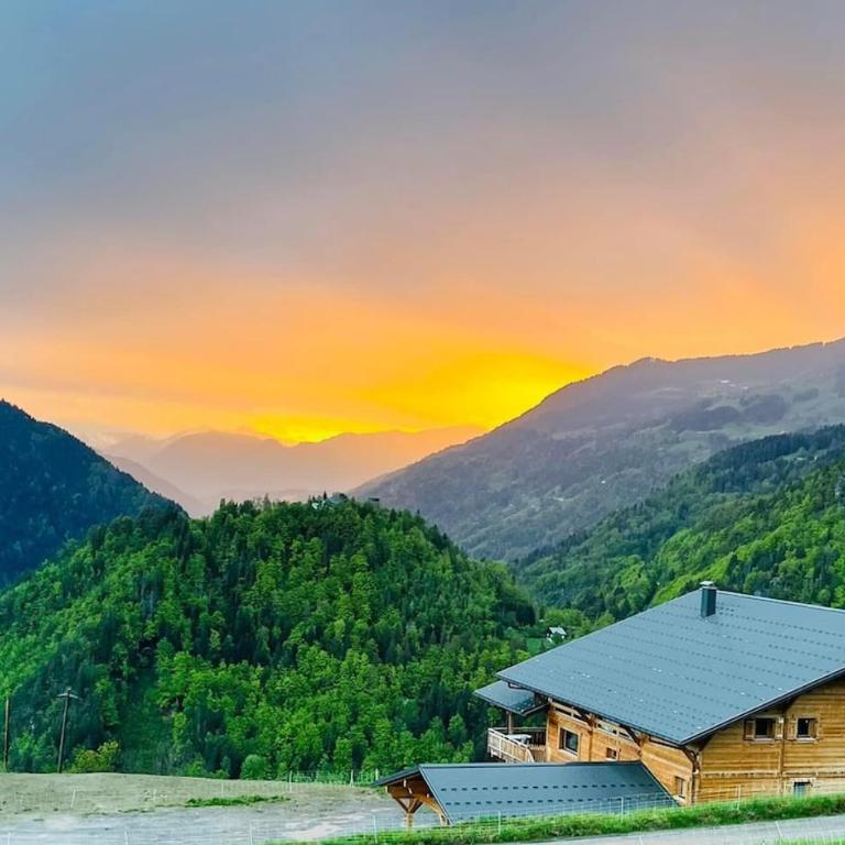 Grand Chalet Beaufortain 12 pers - Chalet - 2