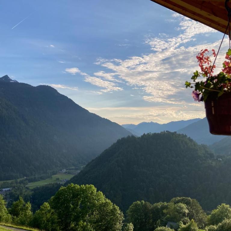 Grand Chalet Beaufortain 12 pers - Chalet - 3