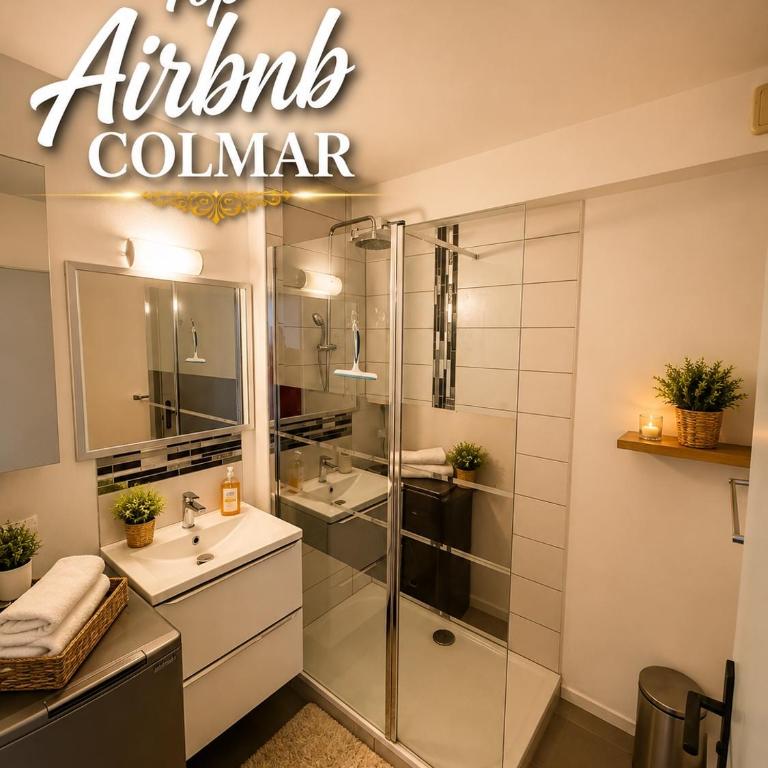 Coup de cœur à Colmar Appartement en plein centre - One-Bedroom Apartment - 5