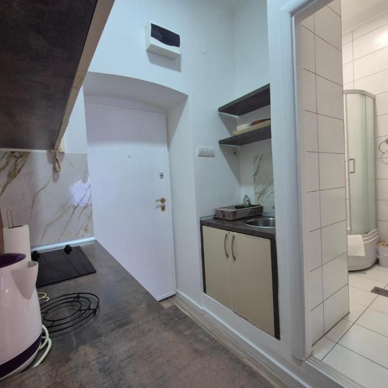 Studio near Klinički centar Srbije - One-Bedroom Apartment - 10