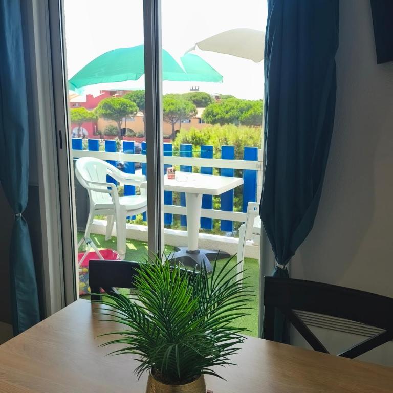 Notre location au Barcarès - Appartamento con 1 Camera da Letto - 85