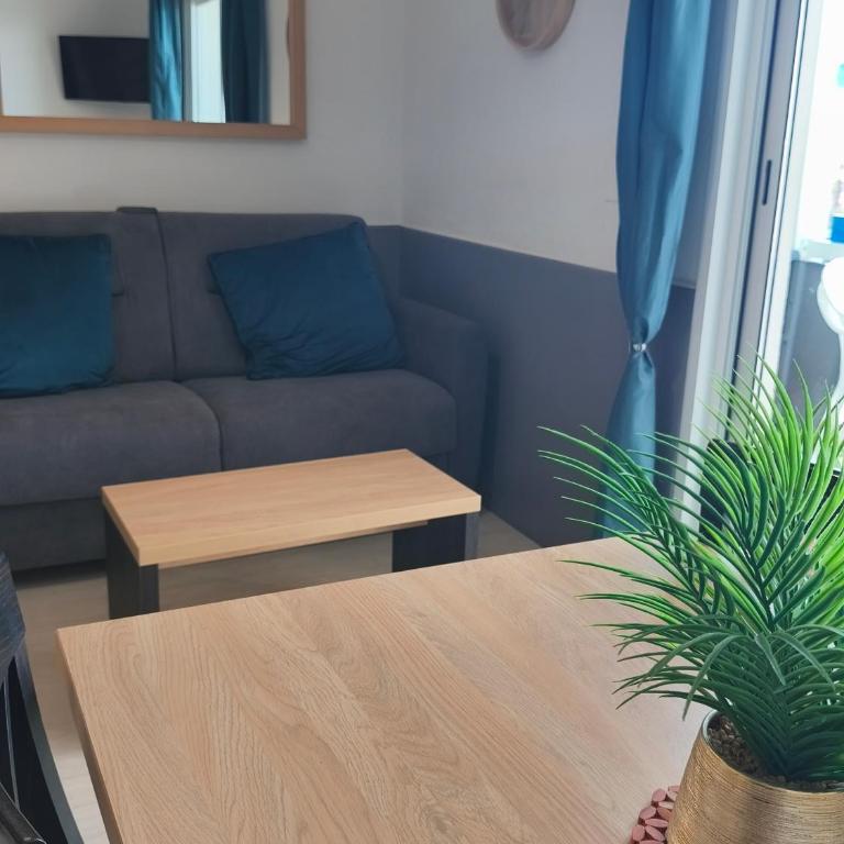 Notre location au Barcarès - Appartamento con 1 Camera da Letto - 87