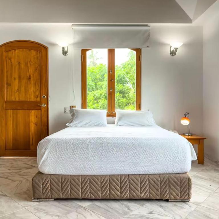 Casa Las Palmas - Suite Junior Boutique - 6