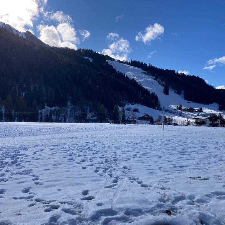 Flocon b - A02 - Alpin C - Appartement 2 Chambres - 31