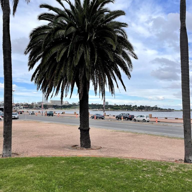 Dúplex 80m2 Luminoso 3Hab 2Ba Cerca Rambla y Centro - Apartamento de 3 dormitorios - 39