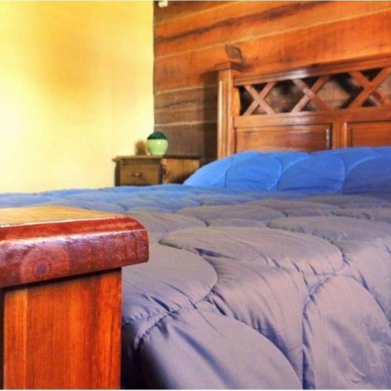 La Deolinda - Apartamento de 1 dormitorio - 3