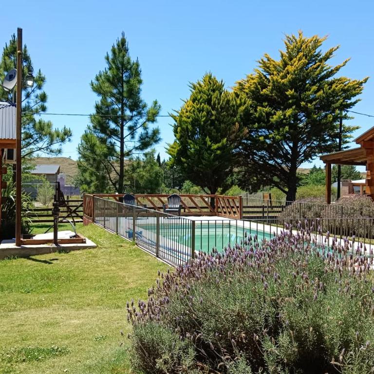La Deolinda - Apartamento de 1 dormitorio - 13