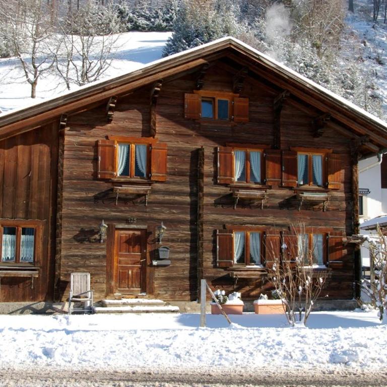 Montafonerhaus - Maison de Vacances - 31