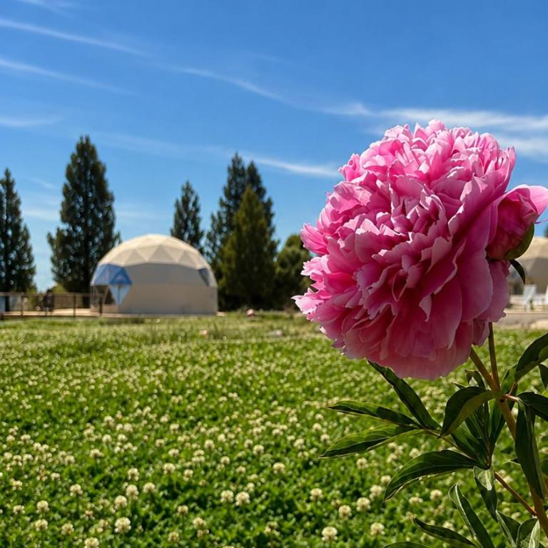 Nawal Glamping - Domos - Habitación Doble Deluxe - 14