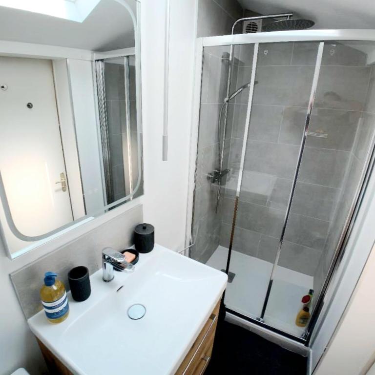Le Strasbourg - Appartement 1 Chambre - 5