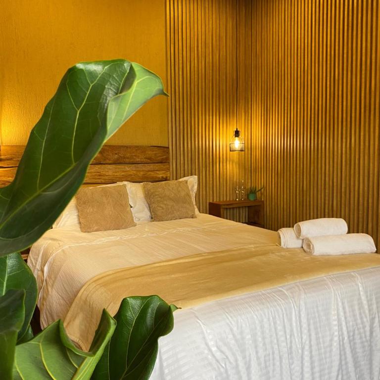 Palmar descanso Glamping Cumbre del Palmar - Villa de 1 dormitorio - 17