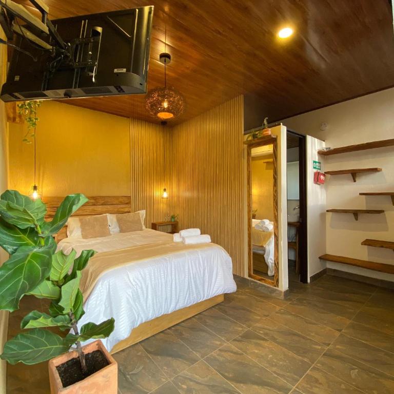 Palmar descanso Glamping Cumbre del Palmar - Villa de 1 dormitorio - 18