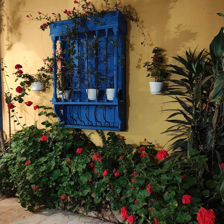 Hacienda San Pedro Claver Subachoque - Deluxe Villa - 10