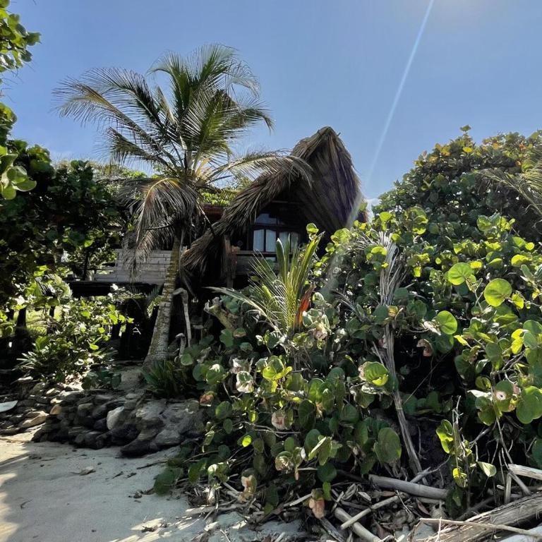 Uvita Playera - Beachfront hut near Tayrona Park - Casa con 1 dormitorio - 7