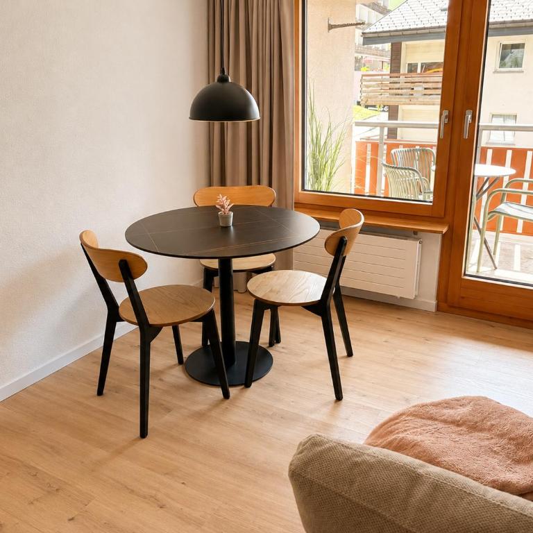 Ambiente Appartement B6 - moderne Ferienwohnung mit Balkon und Aussicht - Apartment mit 1 Schlafzimmer - 8