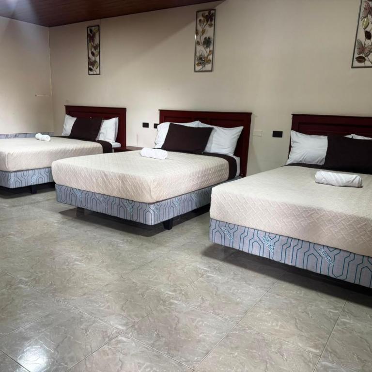 Salamandras Hostería & Spa - Habitación Familiar Estándar - 1
