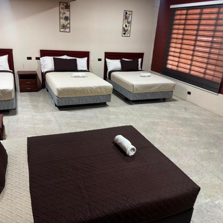 Salamandras Hostería & Spa - Habitación Familiar Superior - 2