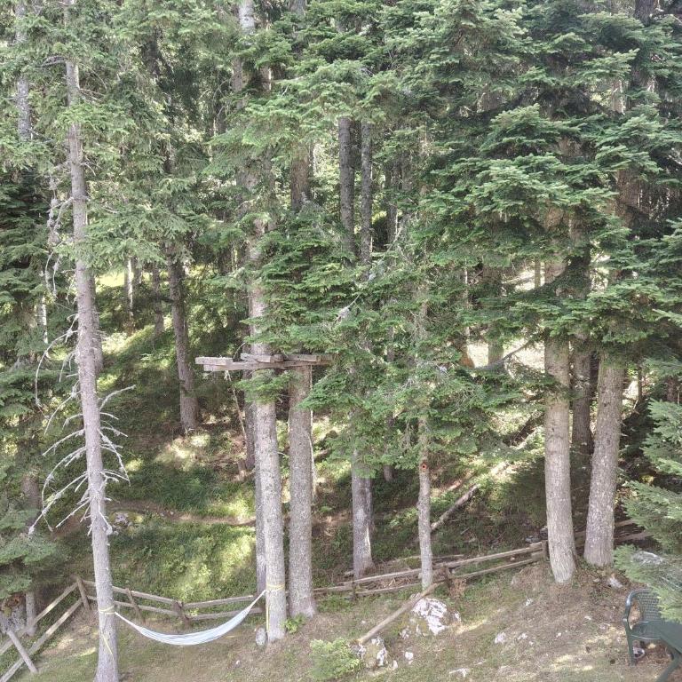 Woodland House Retreat - Cozy Cabin near the Town Center - Two-Bedroom Chalet - 1