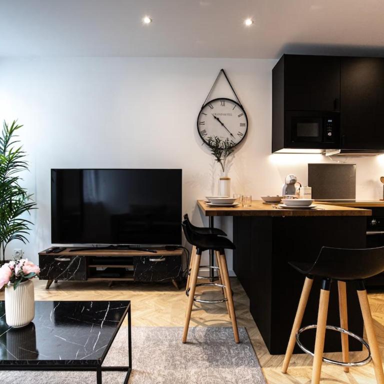 Le Greco - Appartement T3 Hypercentre Saint-Étienne - Apartamento de 2 dormitorios - 1