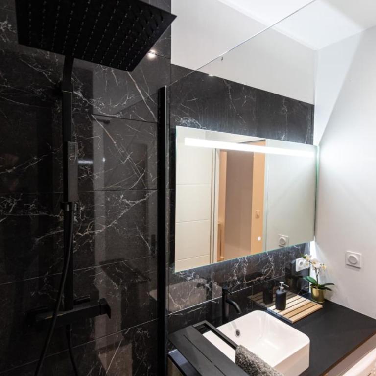 Le Greco - Appartement T3 Hypercentre Saint-Étienne - Apartamento de 2 dormitorios - 12