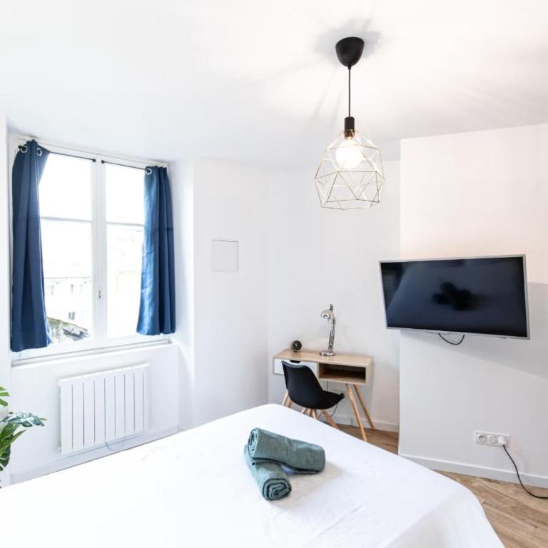 Le Greco - Appartement T3 Hypercentre Saint-Étienne - Apartamento de 2 dormitorios - 16
