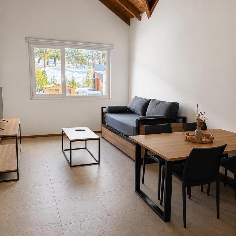 Villa Maihue departamentos de montaña - Caviahue - Apartamento de 1 dormitorio - 1