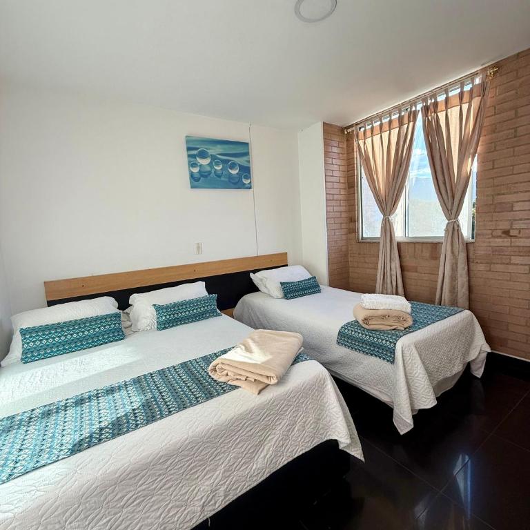Living Montes - Apartamento - 5