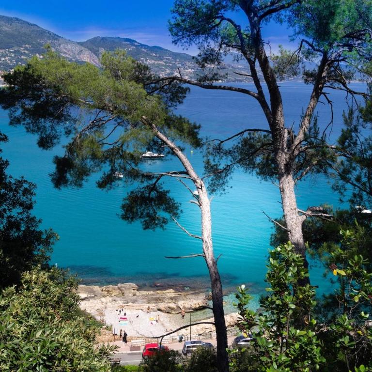 Menton centre proche mer - Appartement 1 Chambre - 11