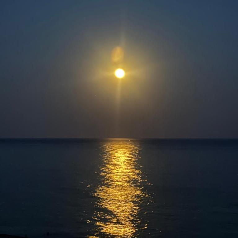 Affacciati al mare - Appartamento con 1 Camera da Letto - 63