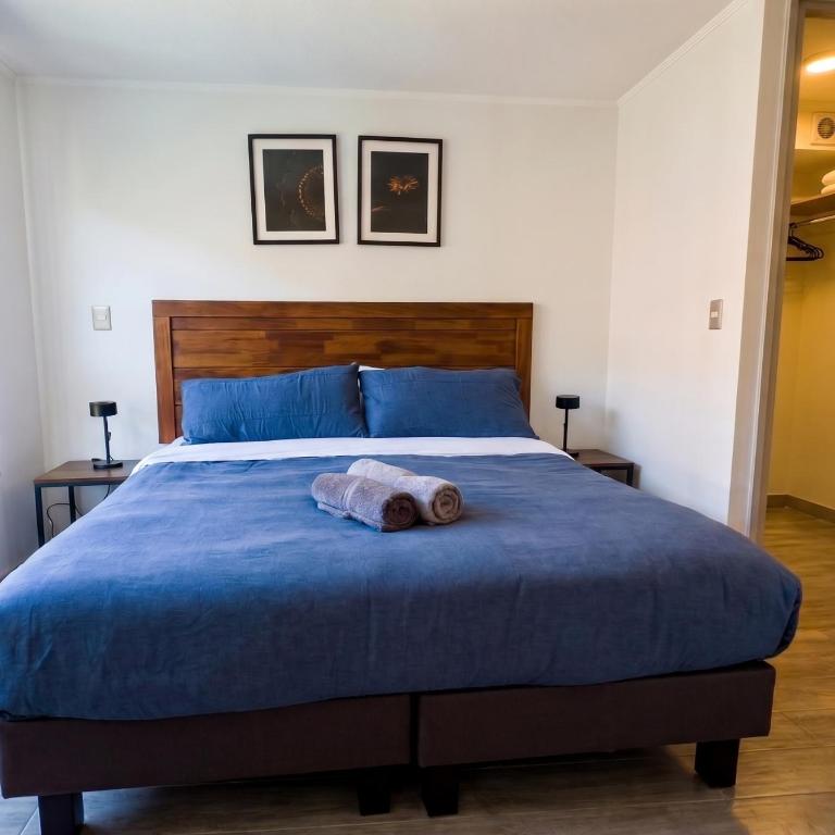 1D1B Cerca del Movistar Arena y frente al Club Hipico - One-Bedroom Apartment - 4