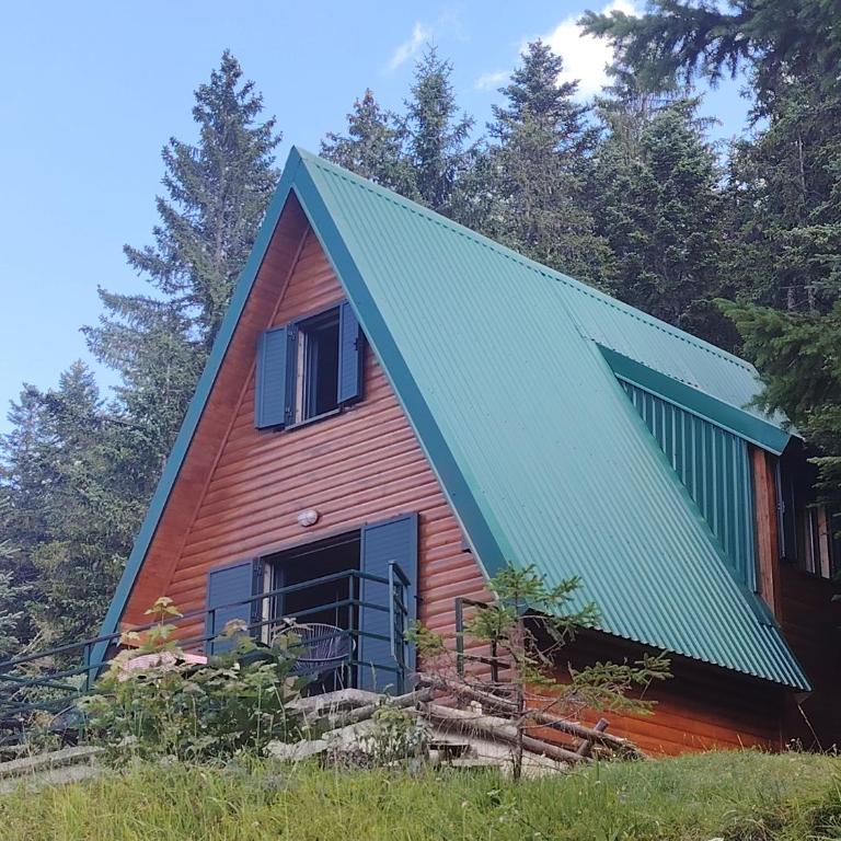 Woodland House Retreat - Cozy Cabin near the Town Center - Two-Bedroom Chalet - 1