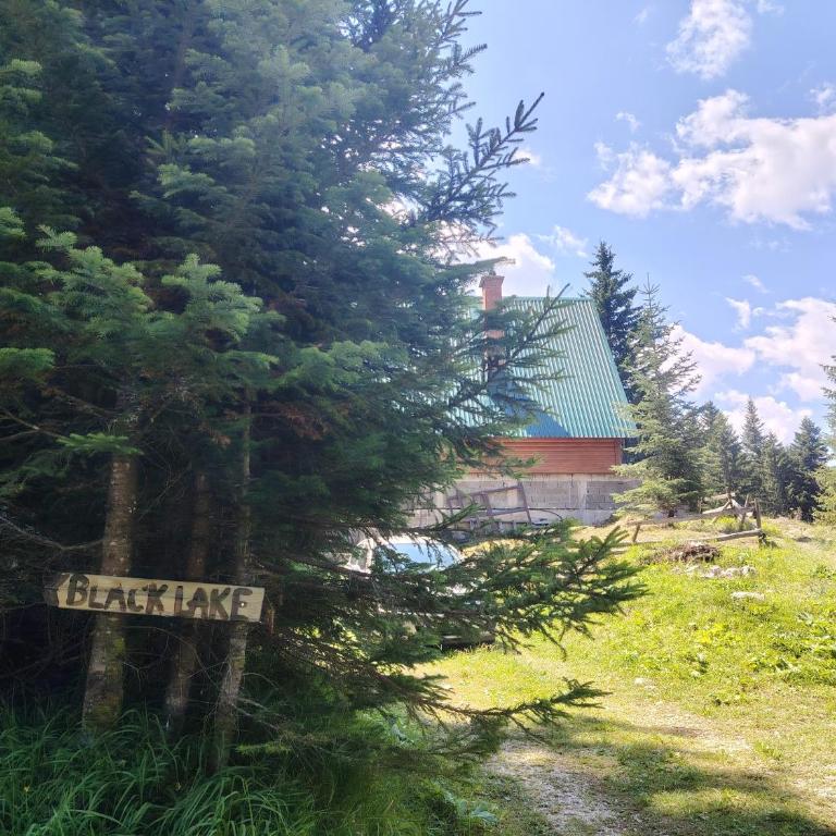 Woodland House Retreat - Cozy Cabin near the Town Center - Two-Bedroom Chalet - 10