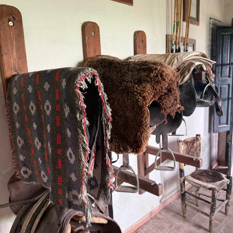 Casa en el campo - casa huéspedes en estupenda chacra de 10 ha - Casa de 2 dormitorios - 13