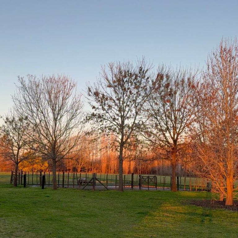 Casa en el campo - casa huéspedes en estupenda chacra de 10 ha - Casa de 2 dormitorios - 15