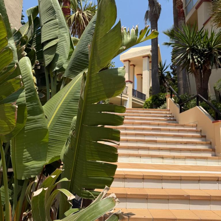 Romana Playa Marbella, 1 Bedroom Apartment - Apartamento de 1 dormitorio - 14