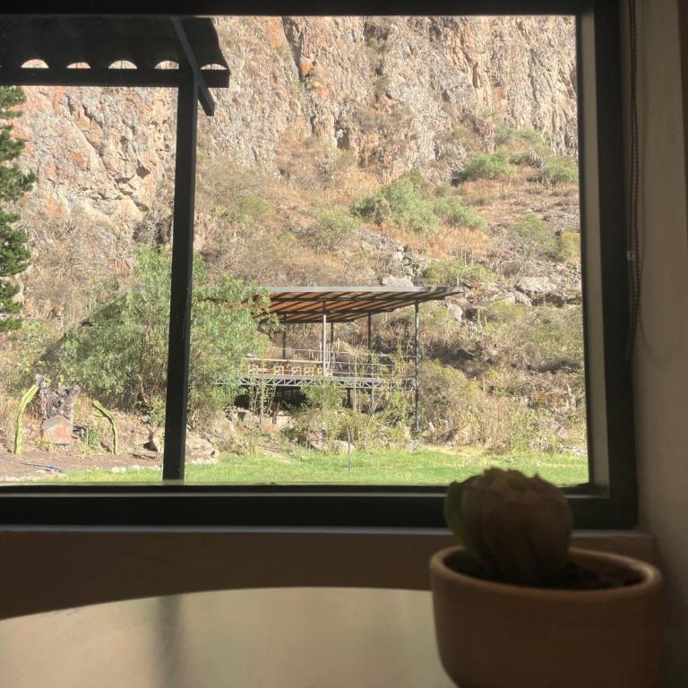 Earth Tones Tiny Homes & Suites - Family Suite - 6