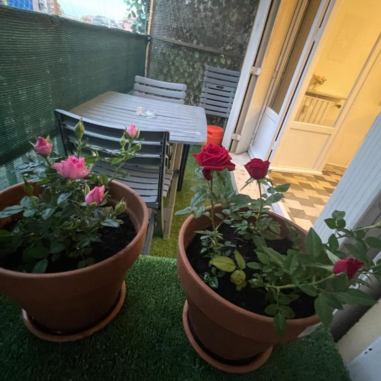 Le petit cocon Mentonnais - Tout à proximité - Appartement 1 Chambre - 32
