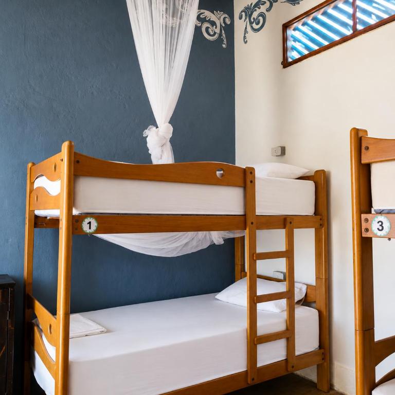 Wild Rover Beach Mancora - Cama en habitación compartida femenina de 6 camas con baño compartido - 4