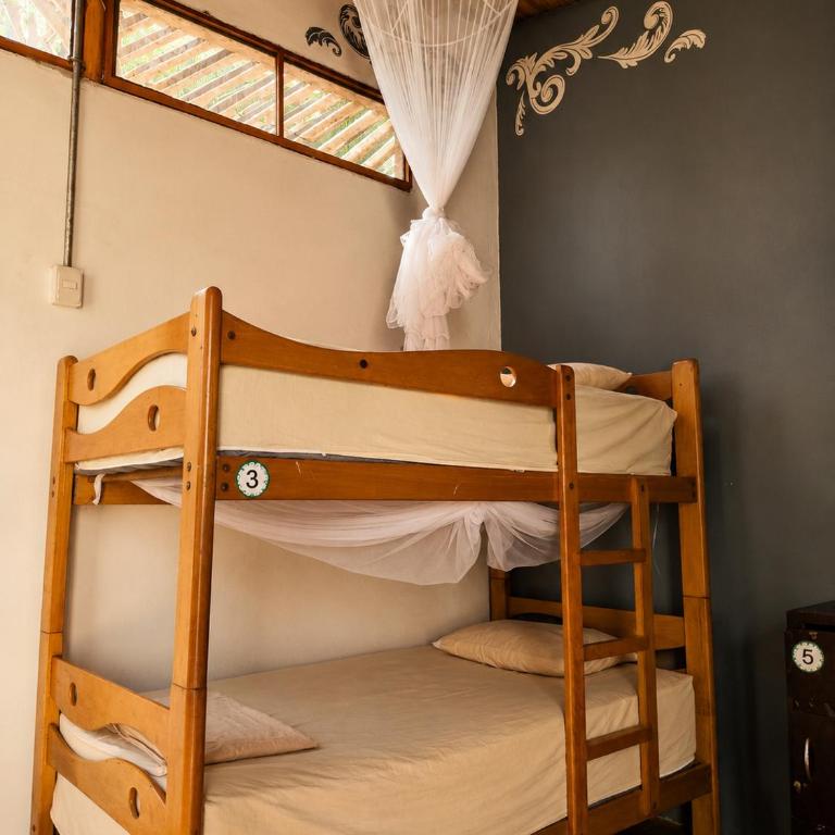 Wild Rover Beach Mancora - Cama en habitación compartida mixta de 8 camas con baño compartido - 4