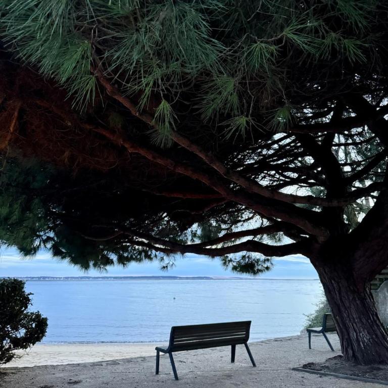 Villa La Hutte Cap Ferret - Grand Piquey - Maison 2 Chambres - 21