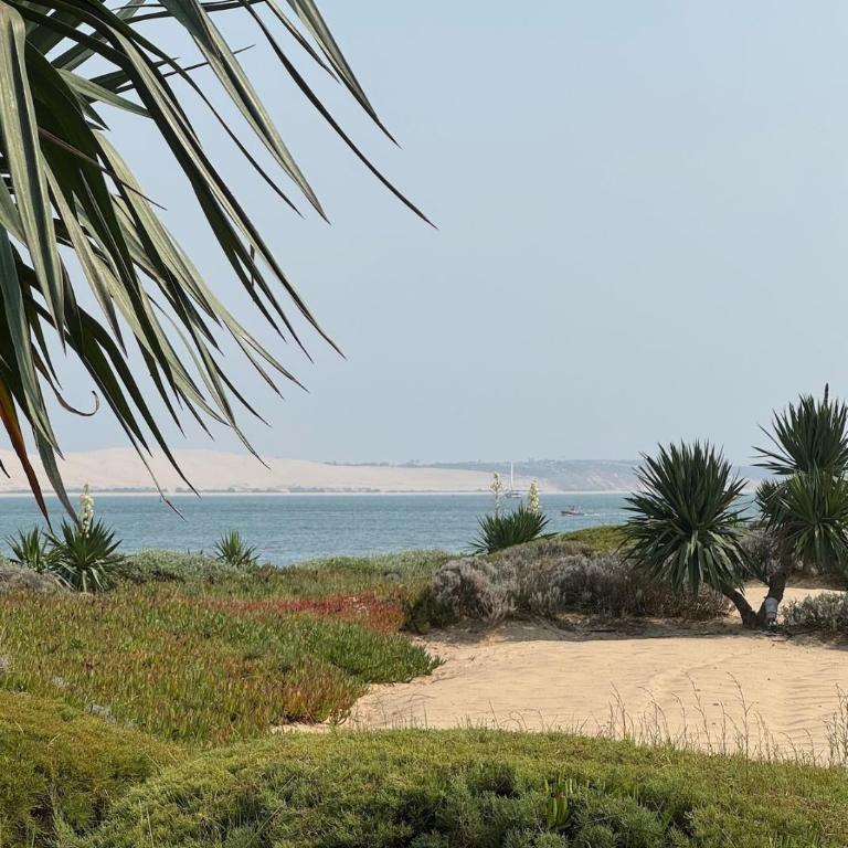 Villa La Hutte Cap Ferret - Grand Piquey - Maison 2 Chambres - 31