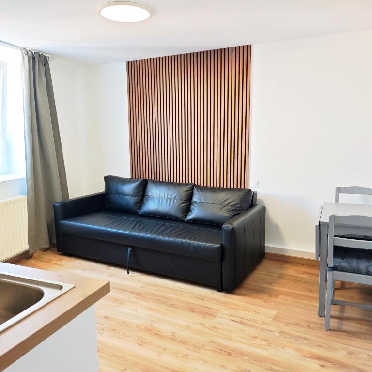 Appartements Hirondelle - Apartamento de 1 dormitorio - 7