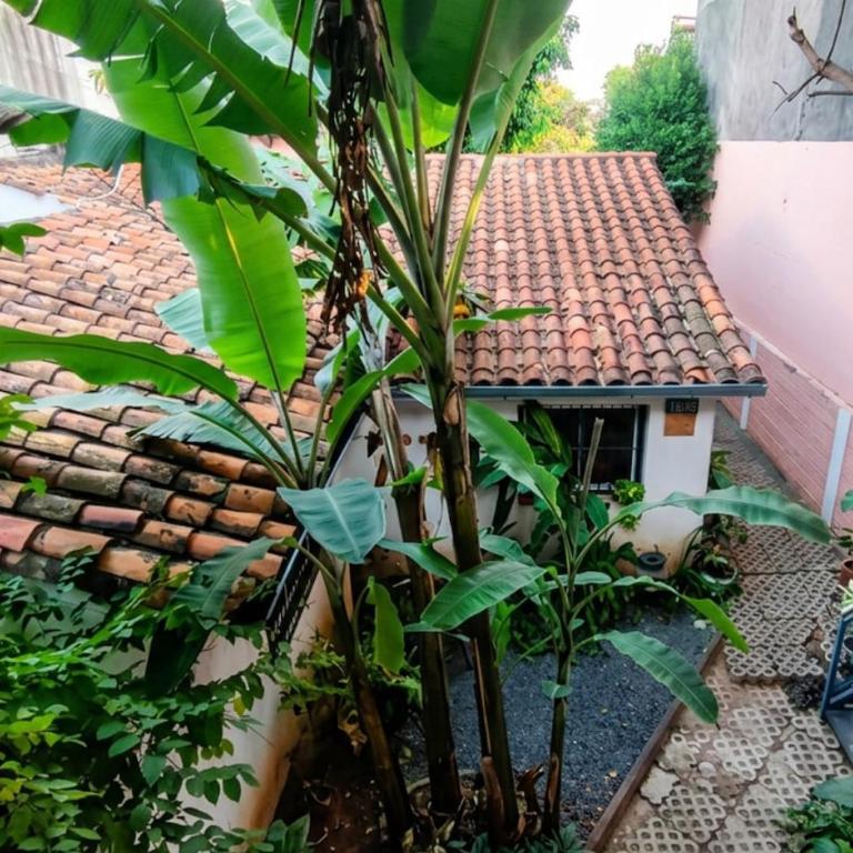 Departamento familiar, barrio tranquilo - SOL - Apartamento de 2 dormitorios - 2