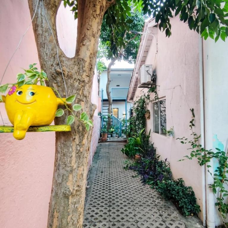 Departamento familiar, barrio tranquilo - SOL - Apartamento de 2 dormitorios - 19