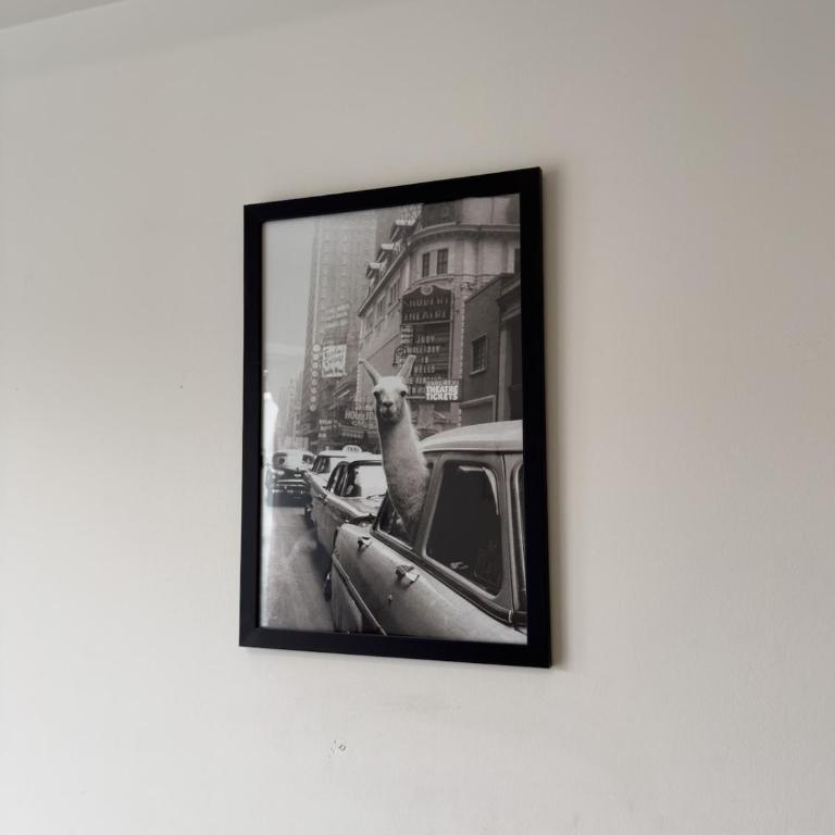 Depto luminoso en Palermo - balcón, gym, pileta - Apartamento de 1 dormitorio - 2
