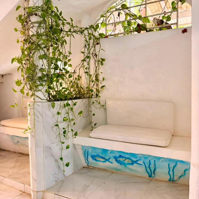 Hospedaje el legado de las olas - Apartamento de 1 dormitorio - 5