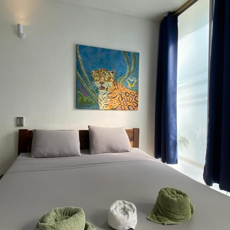 Amazonas magic - Habitación Deluxe - 1 cama grande - 1