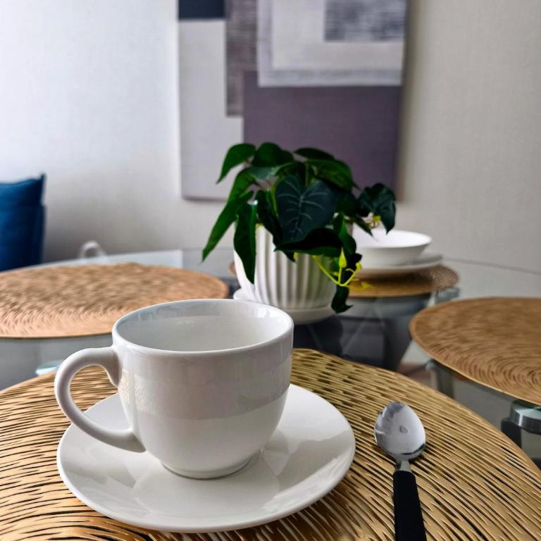 Hermoso departamento a pasos de playa cavancha - Apartamento de 1 dormitorio - 14