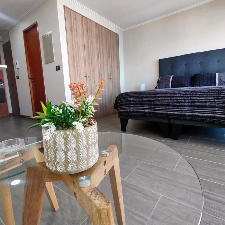 Departamento estudio a pasos de playa Cavancha - Apartamento de 1 dormitorio - 2